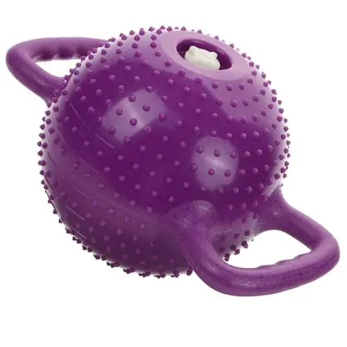 Produktbild: Toddmomy Yoga-Fitness-Kesselglocke Ausrüstung Push-up-Kettlebell Kettlebells trainieren krafttraining fitness zubehör Trainingsgeräte Wasserkocher Heimfitnessgeräte praktisches Handgewicht