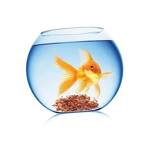 Produktbild: TOGEVAL dekorativer Kies Aquarium kies Aquarium-Kies Naturstein für Gartendeko Aquarium Dekoration Kies für Teich Aquariensteine ​​Aquascaping Kies Flussfelsen Kies für Aquarien Kiessteine