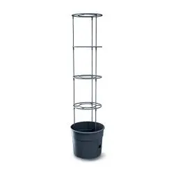 Produktbild: Tomatenpflanzer Prosperplast Tomatenpflanzer aus anthrazitfarbenem Kunststoff 39,2 (Länge) x 39,2 (Breite) x 31,5-153 (Höhe) cm