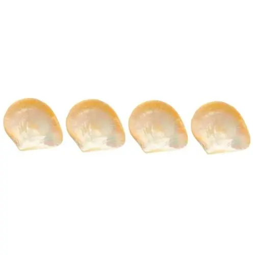 Produktbild: TOPBATHY 4-teilige Kaviar-Schale-Platte Dessertschalen Süßigkeitenschale Frühstücksteller Salatteller Obst Platte Kaviar Servierplatte Steakteller Besteckschublade Würze Hülse