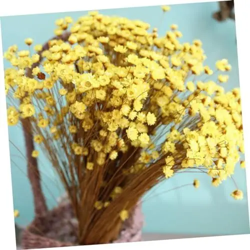 Produktbild: TOPBATHY Elegante Getrocknete Gänseblümchen 100 Stück Natürliche Mini-gänseblümchen Blumen Für Dekoration Hochzeitsmittelstück