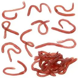 Produktbild: TOYANDONA 10 Stück Gefälschter Regenwurm Kunststoff Lebensechter Wurm Weiches Dehnbares Gummi Regenwürmer Trickspielzeug Für Halloween Aprilscherz Partydekoration