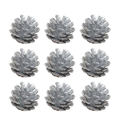 Produktbild: TOYMYTOY Tannenzapfen Naturzapfen Kiefernzapfen mit String Adventsdeko Weihnachten Hängende Deko 4cm 9 Stück (Silber)
