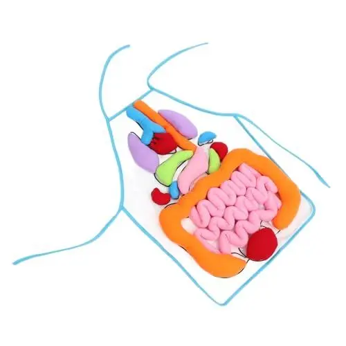 Produktbild: Toyvian Lernspielzeug Für Jungen Und Mädchen 3D-schürze Mit Menschlichen Organen Früherziehungshilfe Vorschulunterrichtsmaterial