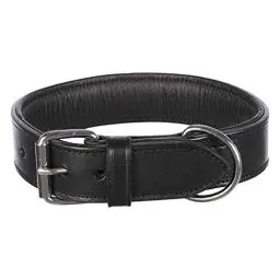 Produktbild: TRIXIE Active Halsband Leder Größe M: Halsumfang 38–47 cm/40 mm in schwarz - stilvolles Lederhalsband für mittelgroße Hunde, genäht und unterfüttert, 1847