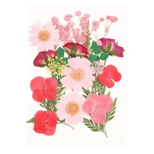 Produktbild: Trockenblumen Gepresste Blumen Deko Getrocknte Blumen Bunt Getrocknete Blumen Dried Pressed Flowers für Harz Schmuck Machen DIY Kerzen Anhänger Handyhüllen Fotorahmen Scrapbook
