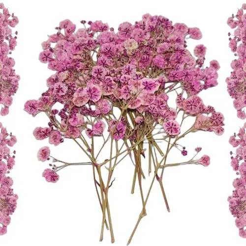 Produktbild: Trockenblumen zum Basteln Getrocknete Schleierkraut - 10 Stück Gepresste Baby’s Breath Deko Blumen Rosa für DIY, Kerzen, Harz, Schmuck, Nagelkunst & Deko Hochzeitsgeschenk