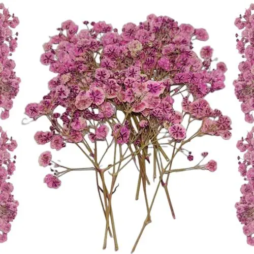 Produktbild: Trockenblumen zum Basteln Getrocknete Schleierkraut - 20 Stück Gepresste Baby’s Breath Deko Blumen Rosa für DIY, Kerzen, Harz, Schmuck, Nagelkunst & Deko Hochzeitsgeschenk