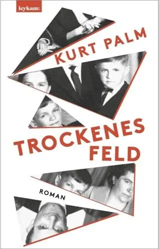 Produktbild: Trockenes Feld: Roman