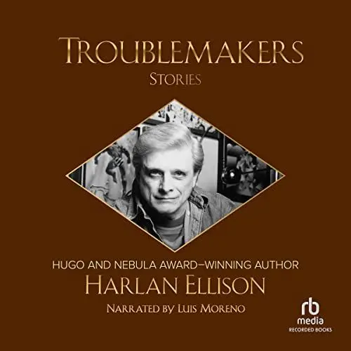 Produktbild: Troublemakers: Stories