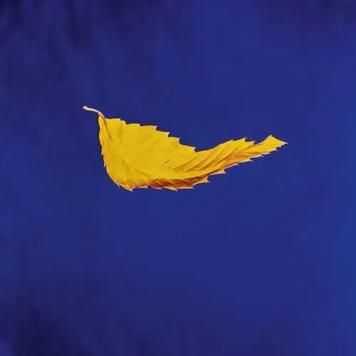 Produktbild: True Faith(2023 Remaster) (Vinyl Maxi-Single)