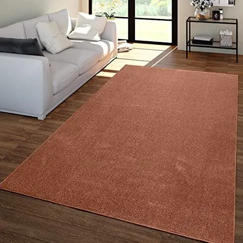 Produktbild: TT Home Wohnzimmer Teppich Kurzflor Unifarbendes Design Modern Und Zeitlos, Farbe: Braun Orange, Größe:120x170 cm