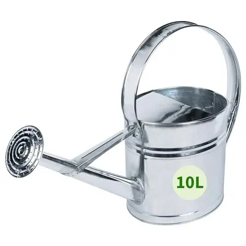 Produktbild: TTL Garden Metall Gießkanne 10L verzinkt - Zinkgießkanne mit Gießbrause abschraubbar - 10 L Volumen ovale rostfreie Zink Giesskanne verzinktes Stahl Blech Silber robust stabil praktisch & dekorativ