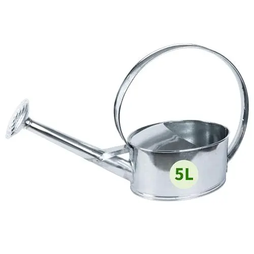 Produktbild: TTL Garden Metall Gießkanne 5L verzinkt - Zinkgießkanne mit Gießbrause abschraubbar - 5 L Volumen ovale rostfreie Zink Giesskanne verzinktes Stahl Blech Silber robust stabil praktisch & dekorativ