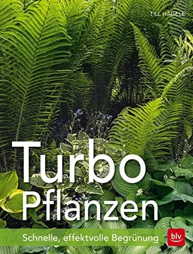 Produktbild: Turbo-Pflanzen: Schnelle, effektvolle Begrünung