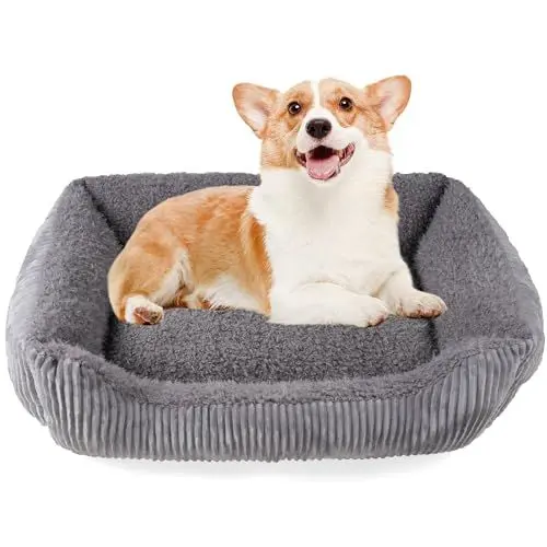 Produktbild: TWDEPART Orthopädisches Hundebett für mittelgroße Hunde, waschbares Plüsch-Hundesofa mit Cordbezug, rutschfest, Hellgrau, 73x60 cm
