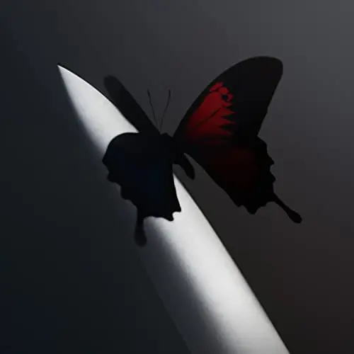 Produktbild: Twelve Carat Toothache (Ltd.2 LP) (Vinyl LP)