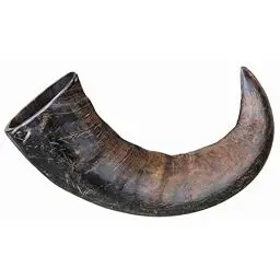 Produktbild: TX-27743 Buffalo Chewing Horn Large