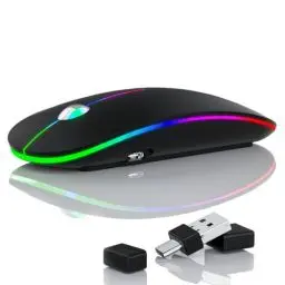 Produktbild: Uiosmuph U20 LED Kabellose Maus, 2.4GHz Leise Funkmaus Ergonomisch mit USB-A & USB-C Empfänger, 4800 DPI PAW3212 Optisch Sensor Wiederaufladbare Maus für Laptop Computer PC Mac, schwarz matt