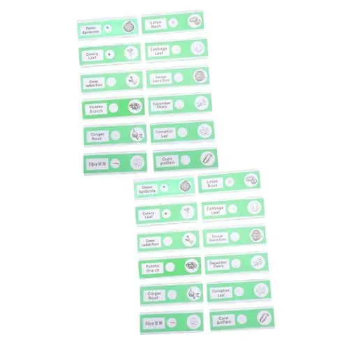 Produktbild: ULTECHNOVO 24 Stk Glasrutsche Probe Biologische Probe Objektträger Für Kinder Gemüse Wissenschaft Proben Folien Pflanzenmikroskopische Objektträger Professionelle Exemplare Zoa Green Abs
