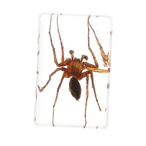 Produktbild: ULTECHNOVO 2 Stk Insektenexemplar tarantula vogelspinnen Insektenstudie Insekten-Schaukasten Tarantel Spinnen-Plüschtier natürliche Bernsteinproben kreative Bernsteinproben Harzverzierungen