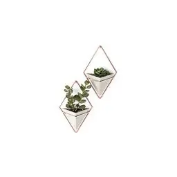 Produktbild: Umbra Trigg Wandvase & Geometrische Deko - Übertopf Für Zimmerpflanzen, Sukkulenten, Luftpflanzen, Kakteen, Kunstpflanzen und Mehr, Beton/Kupfer, 2er-Set, Klein