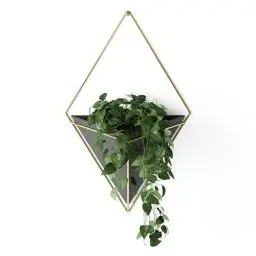 Produktbild: Umbra Trigg Wandvase & Geometrische Deko - Übertopf Für Zimmerpflanzen, Sukkulenten, Luftpflanzen, Kakteen, Kunstpflanzen und Mehr, Schwarz/Messing, Gross