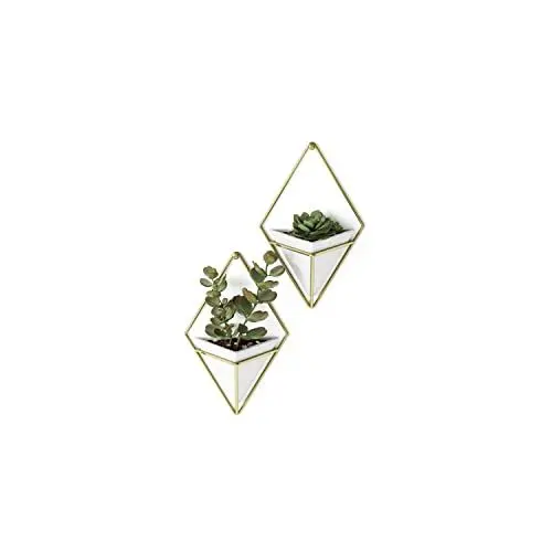Produktbild: Umbra Trigg Wandvase & Geometrische Deko - Übertopf Für Zimmerpflanzen, Sukkulenten, Luftpflanzen, Kakteen, Kunstpflanzen und Mehr, Weiss/Messing, 2er-Set, Klein