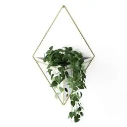 Produktbild: Umbra Trigg Wandvase & Geometrische Deko - Übertopf Für Zimmerpflanzen, Sukkulenten, Luftpflanzen, Kakteen, Kunstpflanzen und Mehr, Weiss/Messing, Gross