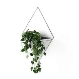 Produktbild: Umbra Trigg Wandvase & Geometrische Deko - Übertopf Für Zimmerpflanzen, Sukkulenten, Luftpflanzen, Kakteen, Kunstpflanzen und Mehr, Weiss/Nickel, Gross