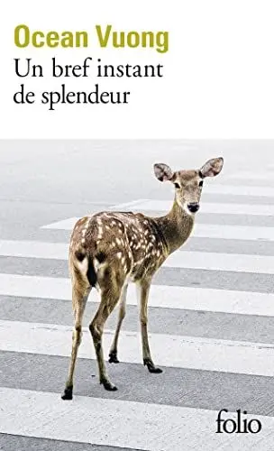 Produktbild: Un bref moment de splendeur