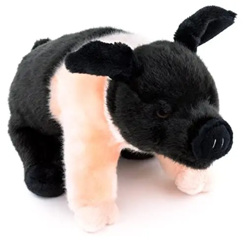 Produktbild: Uni-Toys - Angler Sattelschwein, stehend - 25 cm (Länge) - Plüsch-Schweinchen, Schwein - Plüschtier, Kuscheltier, (BH-13043)