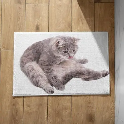 Produktbild: UNZYE Fußmatte Außen Bunt Waschbar Türmatte Personalisiert Familie Katze Schmutzfangmatte Lustig Dusch Fussmatte rutschfest Plüsch-Baumwoll-Fußmatte 45x75cm