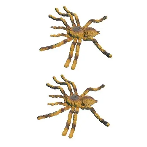 Produktbild: UPKOCH 2 Stück Insektenprobenmodell Pädagogisches Spinnenmodell Vogelspinne Modell Simulation Spinnenmodell Dekoratives Spinnenspielzeug Kinderzubehör Kinderspielzeug Vogelspinne