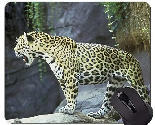 Produktbild: Kundenspezifische ursprüngliche Leopard-Reihen-Mausunterlage, Jaguar-Katzen-Familien-Leopard-Mausunterlagen