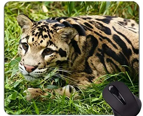 Produktbild: YENDOSTEEN ursprüngliche Leopard-Reihen-Mausunterlage, Tierleopard-Mausunterlage mit genähtem Rand