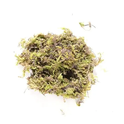 Produktbild: Vaguelly Gelbes und Grünes Trockenmoos für DIY Projekte Hochzeitsdekoration Terrarium Turtle Isolierung für Kreative Gartenprojekte und Bastelarbeiten