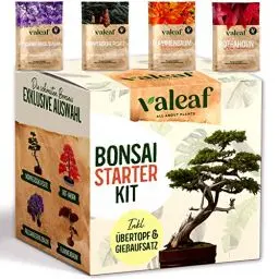 Produktbild: valeaf Bonsai Starter Kit I Bonsai Anzuchtset Geschenk für deinen Bonsai Baum I Zimmerpflanzen Anzuchtset inkl. 4 Sorten Bonsai Samen, Zubehör u. Bonsai-Schale I Saat Geschenk zum Baum pflanzen