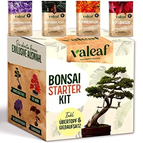 Produktbild: valeaf Bonsai Starter Kit I Bonsai Anzuchtset Geschenk für deinen Bonsai Baum I Zimmerpflanzen Anzuchtset inkl. 4 Sorten Bonsai Samen, Zubehör u. Bonsai-Schale I Saat Geschenk zum Baum pflanzen