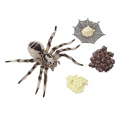 Produktbild: VANZACK Tarantel Modell Satz Kunststoff Simulation Tarantel Lebenszyklus Miniatur Figuren Realistisches Spielzeug für Kinder Dekoration und Bildungszwecke