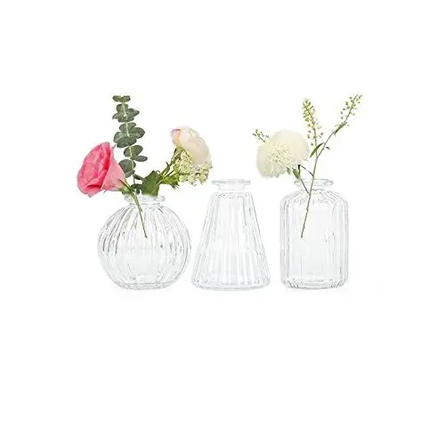 Produktbild: Vasen Klein Glas EylKoi - Tischdeko Klar Verschiedene Formen, Hochzeit, Mini Kleine Vasen für Zuhause