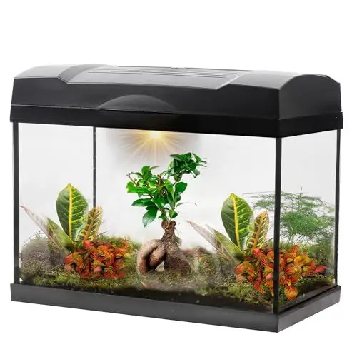 Produktbild: vdvelde.com - Bonsai Terrarium Groot - Bonsai Mega Terrarium - Ecosysteem in Glas - • 1 bonsai + 5 mini planten• Afmetingen: 39x21x31 cm• Verlichting op netstroom