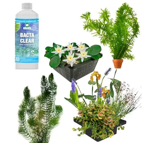 Produktbild: vdvelde.com - Reiher Abwehr Teich Paket - M - Für 750-1.500 L - Schwimmende Wasserpflanzen + Extras - Platzierung: Lose im Teich