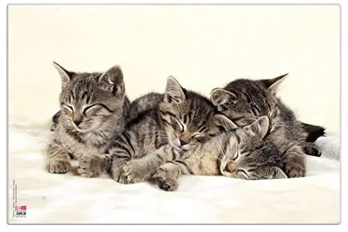 Produktbild: VELOFLEX 4651114 - Schreibtischunterlage Katzen, 40 x 60 cm, rutschfest, abwischbar, mit transparenter Antireflex-Schutzfolie, Schreibtischauflage, Malunterlage, Bastelunterlage, Mittel