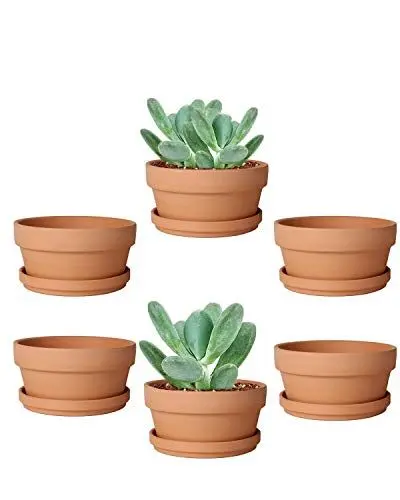 Produktbild: vensovo Terrakotta-Sukkulentententopf, 9,4 cm, flach, Terrakotta, Tontöpfe mit Untersetzer, Kakuten, Terra-Cotta, Pflanzgefäße für drinnen und draußen, mit Ablaufloch, 6 Stück