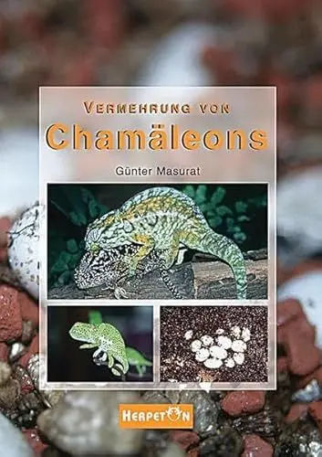Produktbild: Vermehrung von Chamäleons: Grundlagen, Anleitungen und Erfahrungen zur erfolgreichen Zucht
