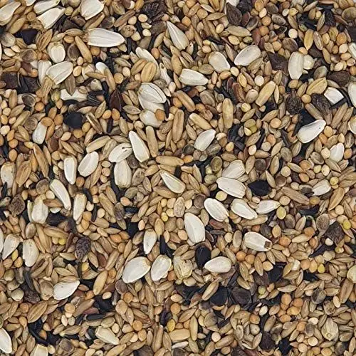Produktbild: Versele Großsittiche Spezial 20 kg