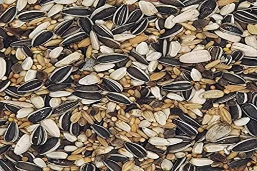 Produktbild: Versele Großsittiche Standard 20 kg