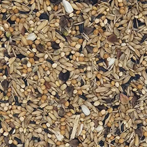 Produktbild: Versele Neophemen 20 kg