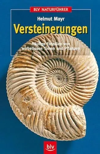 Produktbild: Versteinerungen: Häufige Fossilien von wirbellosen Tieren und Pflanzen (BLV Naturführer)